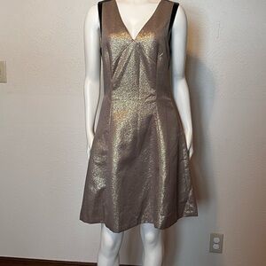 DKNY Metallic Shimmer Sleeveless Cocktail Dress Size 8 Holiday Dress